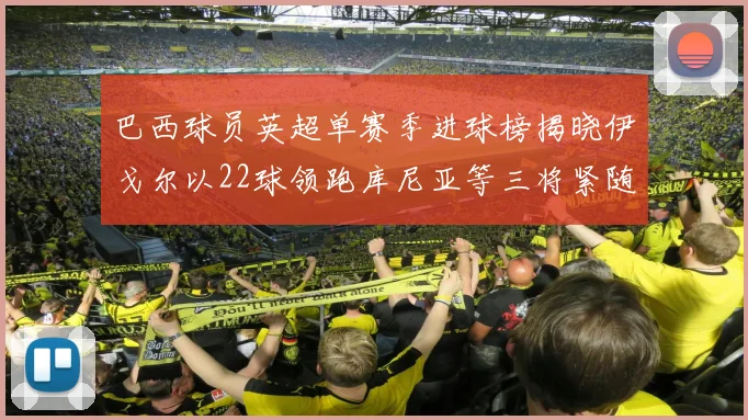 巴西球员英超单赛季进球榜揭晓伊戈尔以22球领跑库尼亚等三将紧随其后